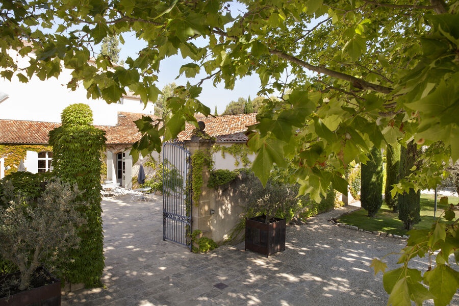 Vignes du Chateau La Verrerie in Puget dans le Luberon