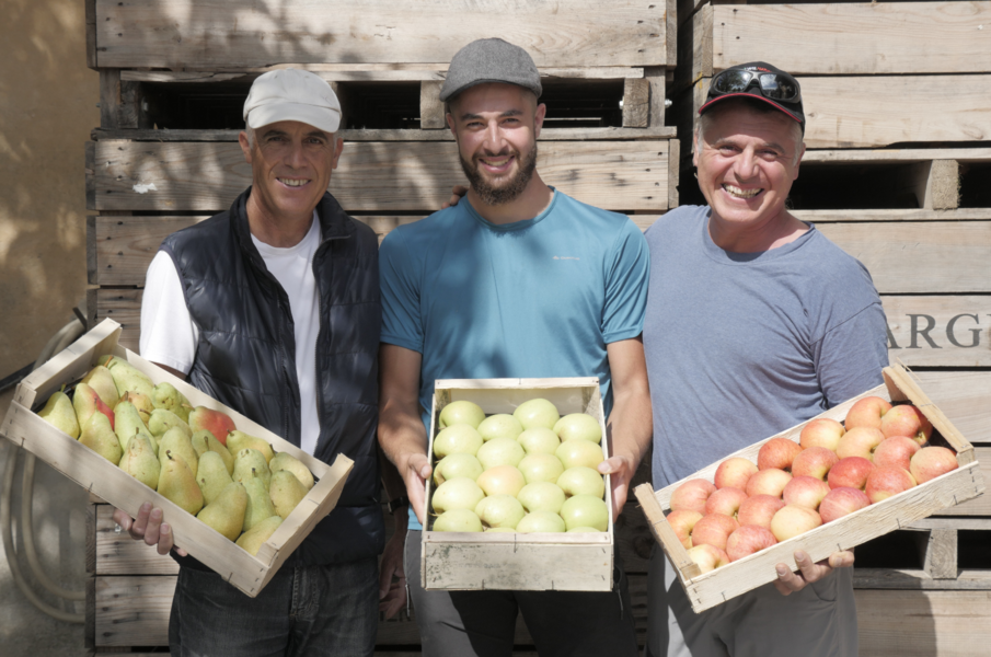 Les Jardins du Portail Rouge - Cavaillon