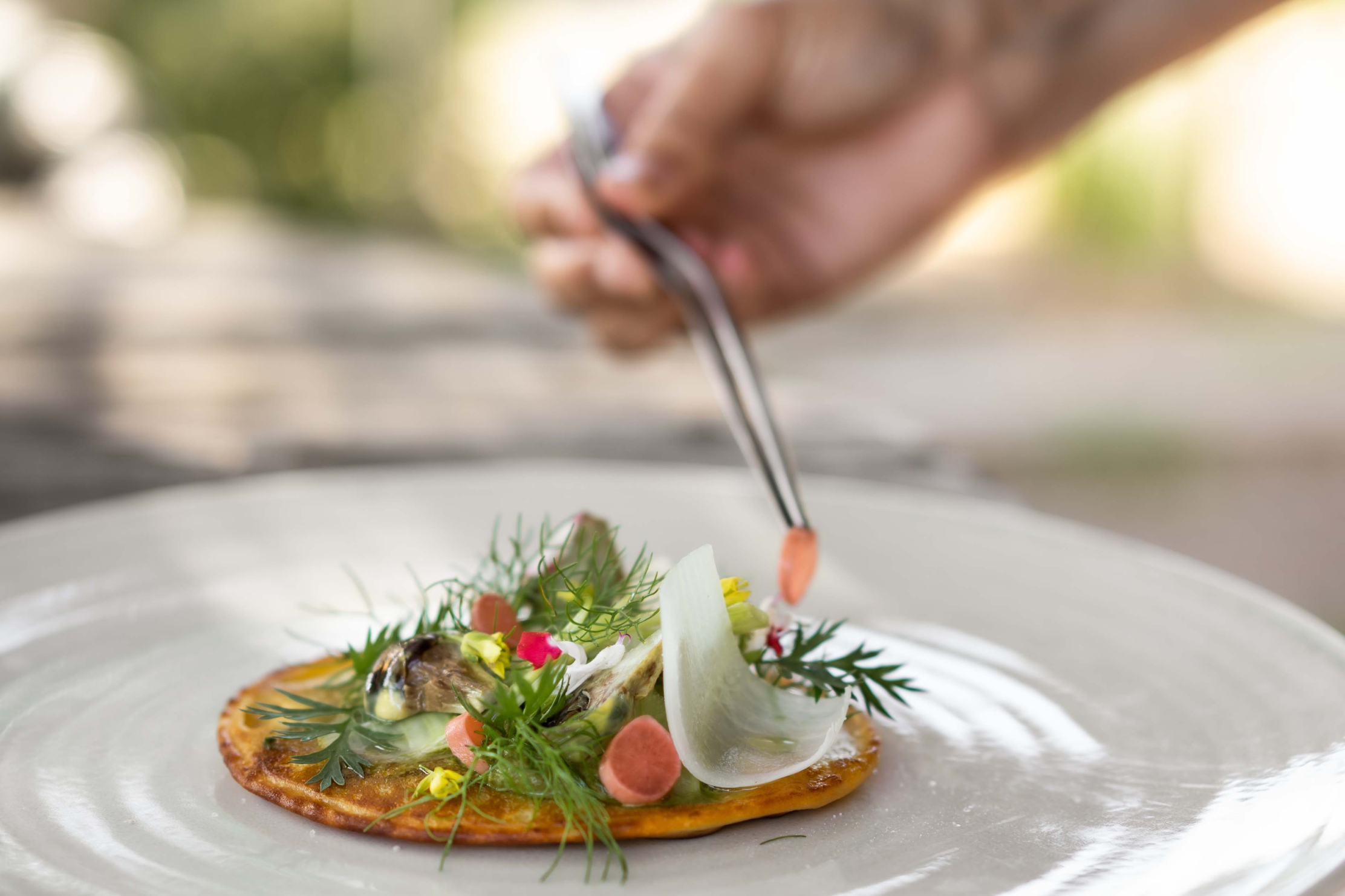 Gluten-free gastronomic dish from La Fenière, creative cuisine inspired by Provençal terroir