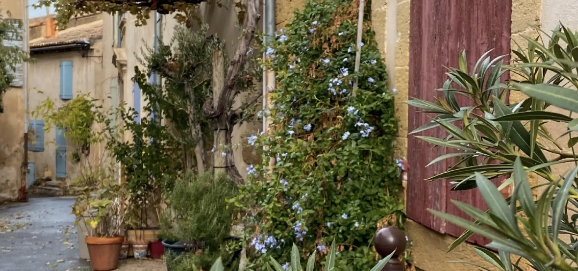 What to Do in the Luberon When It Rains? Our Best Indoor Ideas