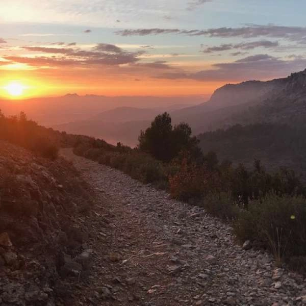 Fanny Flow - Freedom Road