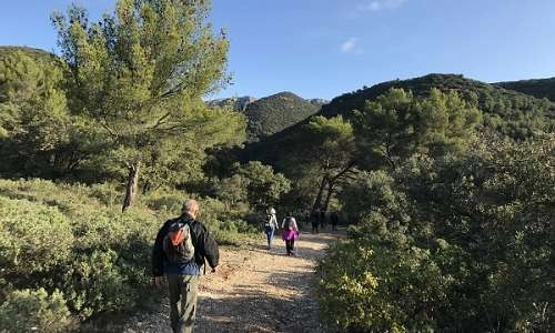 Chemin de la liberté