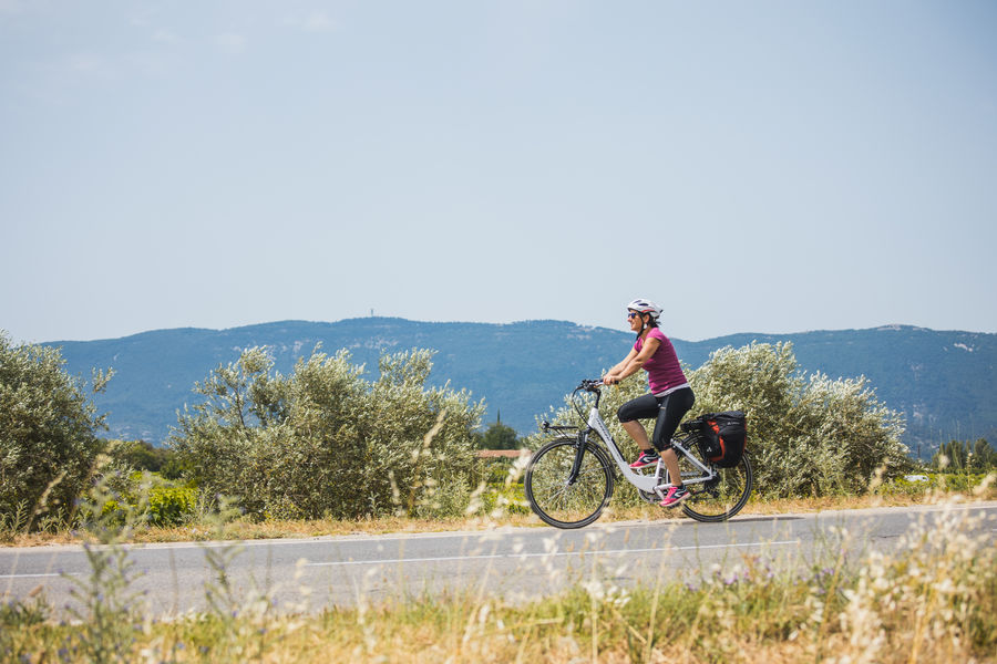 Cyclist on the roads of the South Luberon between Lourmarin, Cucuron and Cadenet