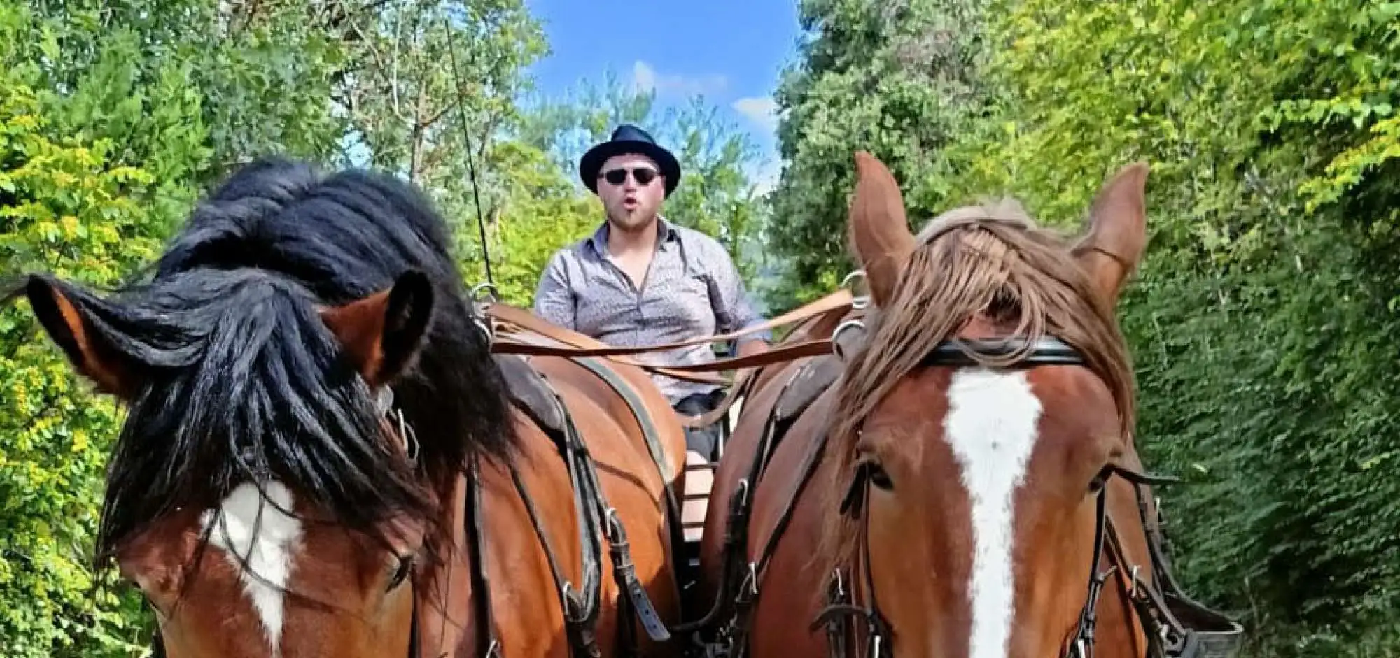 Carriage rides with Les Traits du Lub'