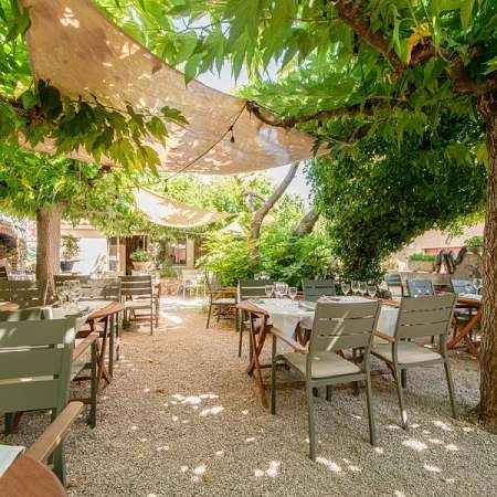 La Terrasse des Cigales