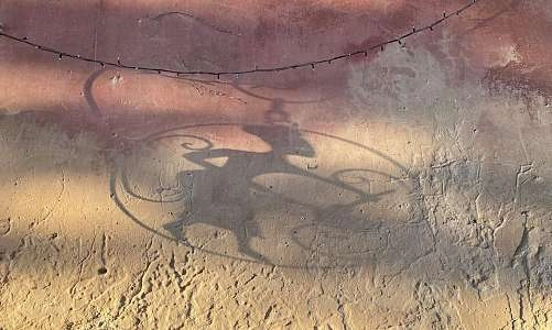 Shadow