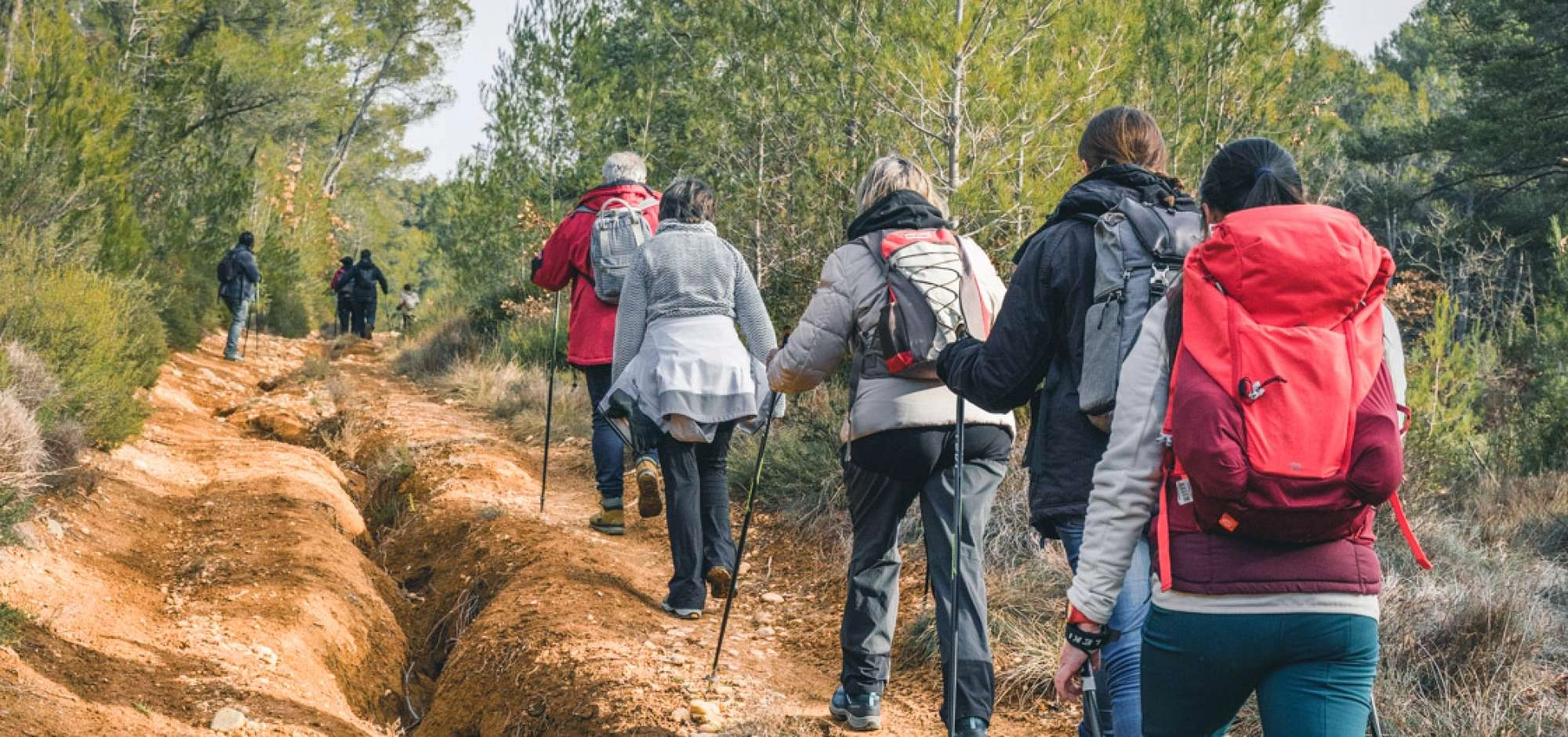Nordic walking, walk with Luo Experience