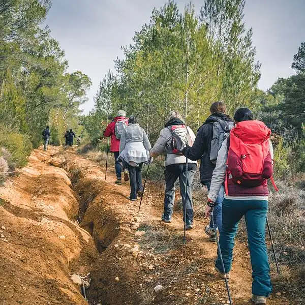 Nordic walking, walk with Luo Experience