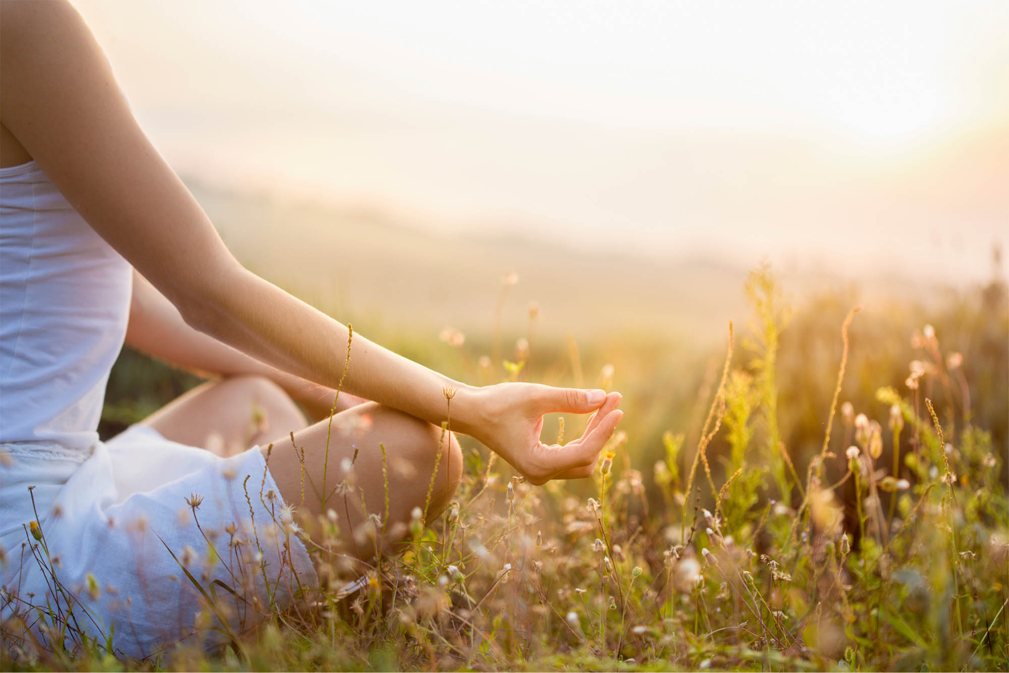 Outdoor wellness session in the Luberon