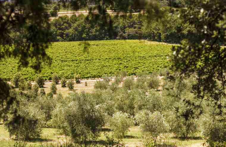 Château La Verrerie