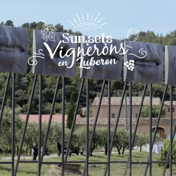 Sunsets Vignerons 2025 au Domaine des Peyre
