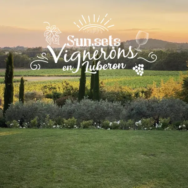 Sunsets Vignerons at Château Constantin