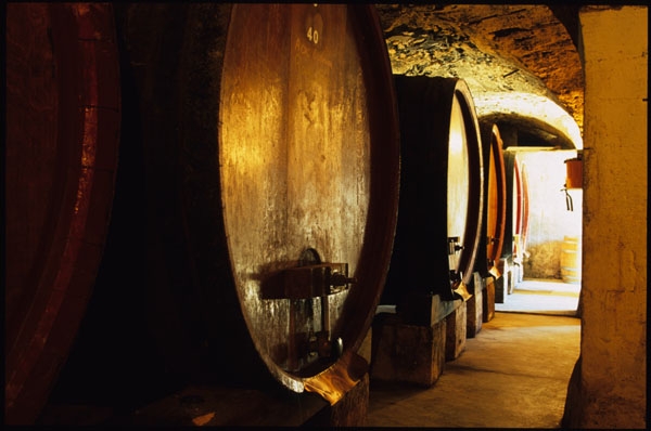 Inside the Château la Canorgue cellar with ageing barrels