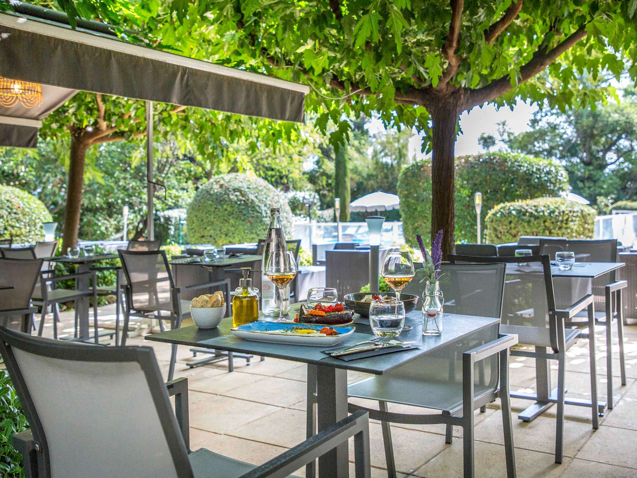 Swimming pool at the Ibis Cavaillon Luberon hotel Outdoor swimming pool and tree-filled garden at the Ibis hotel in Cavaillon